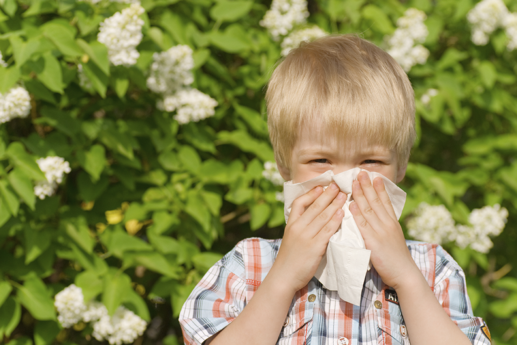 Do you need to live with asthma and allergies? - LIFE 101.9 LIFE 101.9